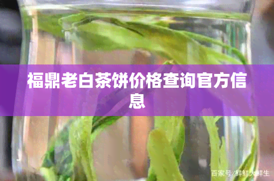 福鼎老白茶饼价格查询官方信息