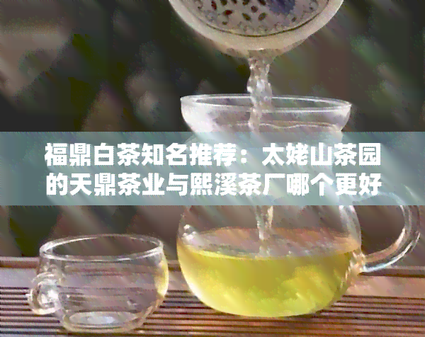 福鼎白茶知名推荐：太姥山茶园的天鼎茶业与熙溪茶厂哪个更好？