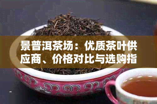 景普洱茶场：优质茶叶供应商、价格对比与选购指南