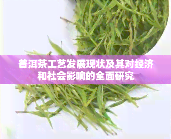 普洱茶工艺发展现状及其对经济和社会影响的全面研究