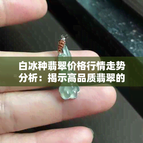 白冰种翡翠价格行情走势分析：揭示高品质翡翠的价值与市场动态