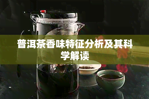 普洱茶香味特征分析及其科学解读