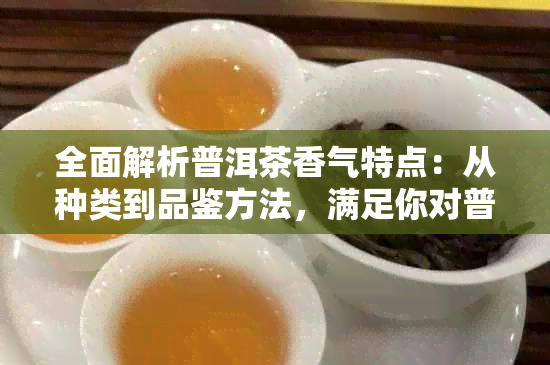 全面解析普洱茶香气特点：从种类到品鉴方法，满足你对普洱茶的所有疑问