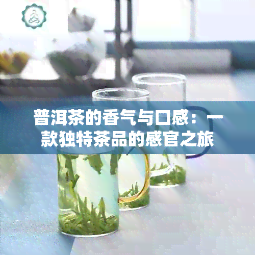 普洱茶的香气与口感：一款独特茶品的感官之旅