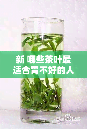 新 哪些茶叶最适合胃不好的人饮用？