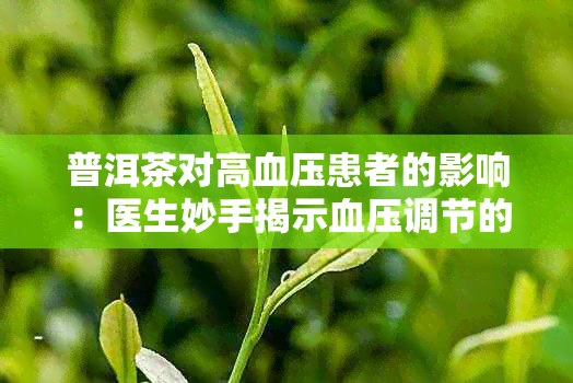 普洱茶对高血压患者的影响：医生妙手揭示血压调节的秘密