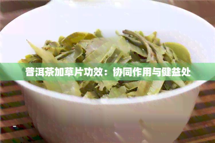 普洱茶加草片功效：协同作用与健益处