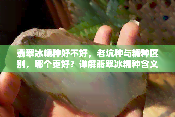 翡翠冰糯种好不好，老坑种与糯种区别，哪个更好？详解翡翠冰糯种含义