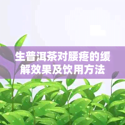 生普洱茶对腰疼的缓解效果及饮用方法全面解析，让你告别腰疼烦恼！