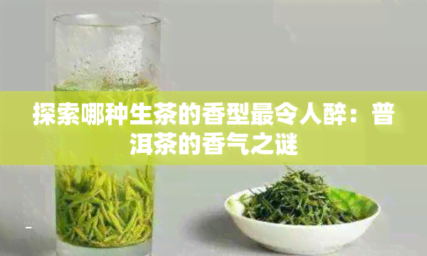 探索哪种生茶的香型最令人醉：普洱茶的香气之谜