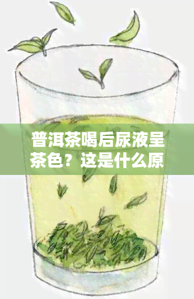 普洱茶喝后尿液呈茶色？这是什么原因？可能的健影响和解决方法有哪些？