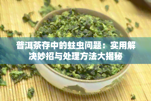 普洱茶存中的蛀虫问题：实用解决妙招与处理方法大揭秘