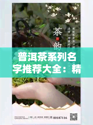 普洱茶系列名字推荐大全：精选优质普洱茶名品介绍