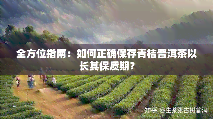 全方位指南：如何正确保存青桔普洱茶以长其保质期？