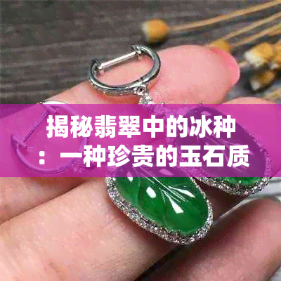 揭秘翡翠中的冰种：一种珍贵的玉石质地与文化内涵