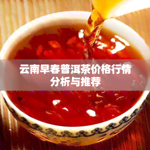 云南早春普洱茶价格行情分析与推荐