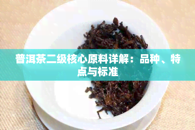 普洱茶二级核心原料详解：品种、特点与标准