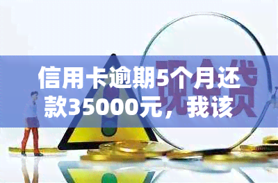 信用卡逾期5个月还款35000元，我该怎么办？