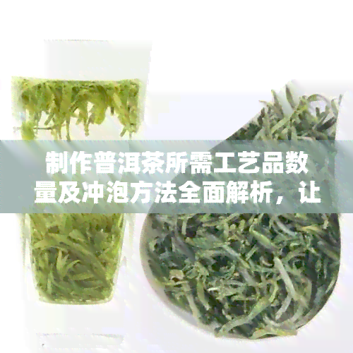 制作普洱茶所需工艺品数量及冲泡方法全面解析，让你轻松品尝正宗普洱茶