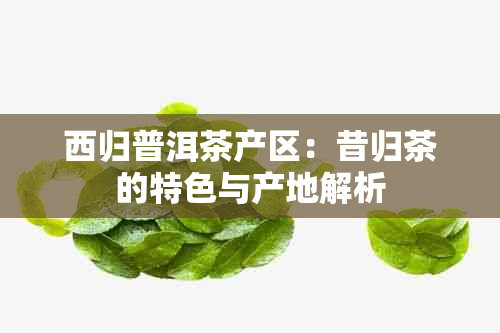 西归普洱茶产区：昔归茶的特色与产地解析