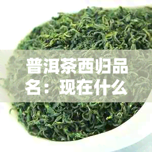 普洱茶西归品名：现在什么价格？产区在哪里？特点有哪些？