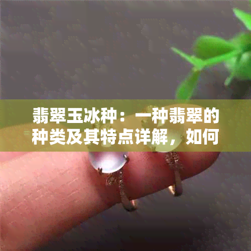 翡翠玉冰种：一种翡翠的种类及其特点详解，如何鉴别和购买