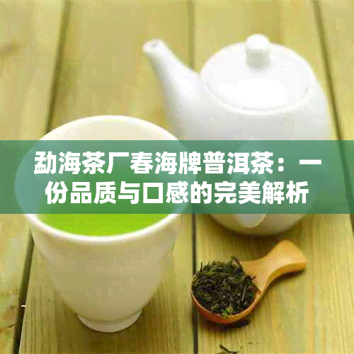 勐海茶厂春海牌普洱茶：一份品质与口感的完美解析