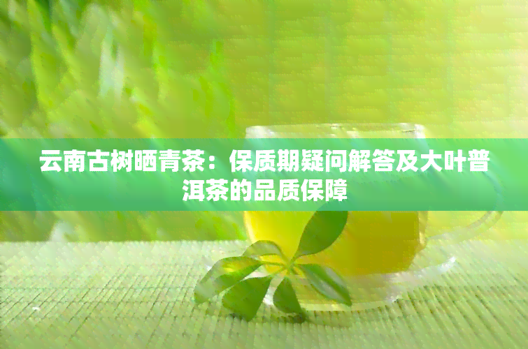 云南古树晒青茶：保质期疑问解答及大叶普洱茶的品质保障