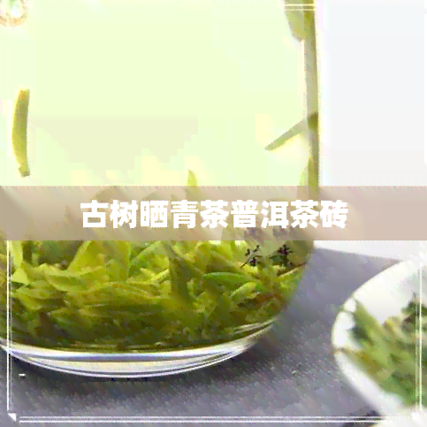 古树晒青茶普洱茶砖