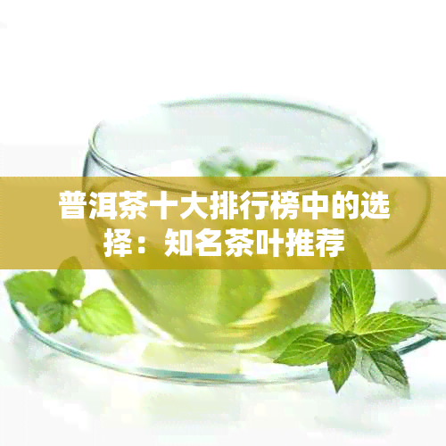 普洱茶十大排行榜中的选择：知名茶叶推荐