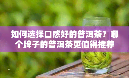 如何选择口感好的普洱茶？哪个牌子的普洱茶更值得推荐？