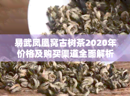 易武凤凰窝古树茶2020年价格及购买渠道全面解析，了解茶叶品质与收藏价值