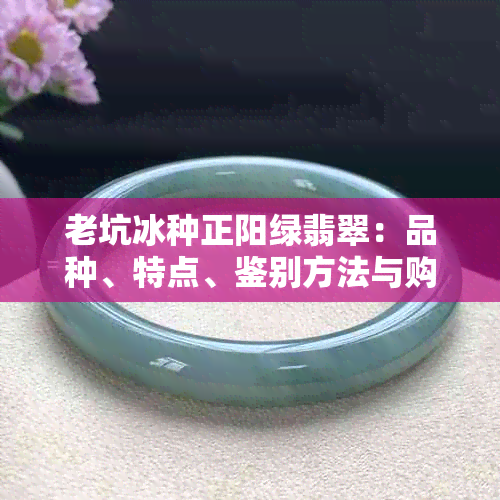 老坑冰种正阳绿翡翠：品种、特点、鉴别方法与购买建议，让你全面了解翡翠