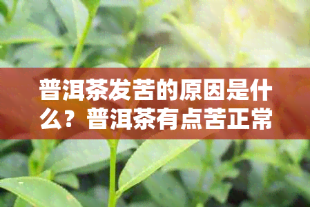 普洱茶发苦的原因是什么？普洱茶有点苦正常吗？