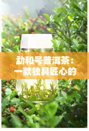 勐和号普洱茶：一款独具匠心的茶叶，品味经典与传承