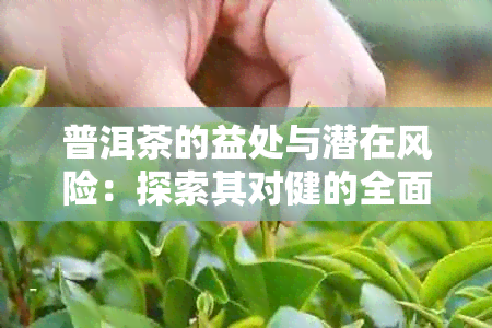 普洱茶的益处与潜在风险：探索其对健的全面影响