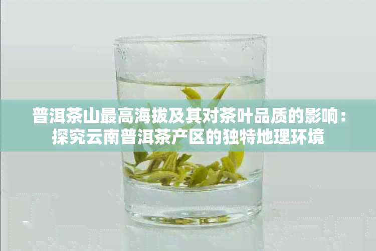 普洱茶山更高海拔及其对茶叶品质的影响：探究云南普洱茶产区的独特地理环境