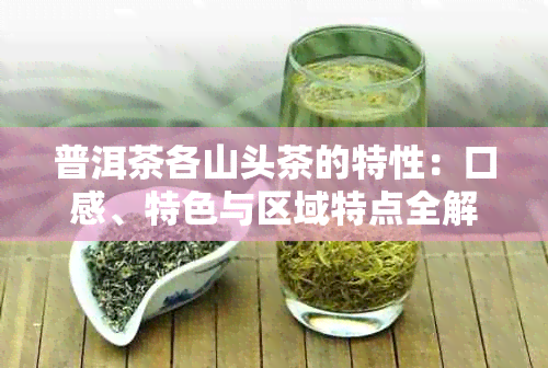 普洱茶各山头茶的特性：口感、特色与区域特点全解析