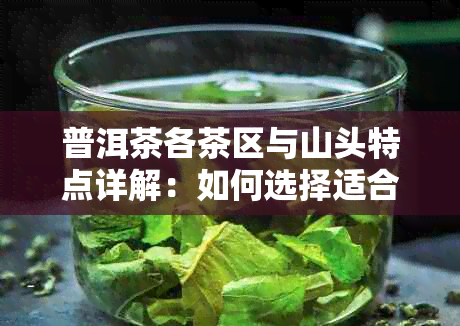 普洱茶各茶区与山头特点详解：如何选择适合您的普洱茶？