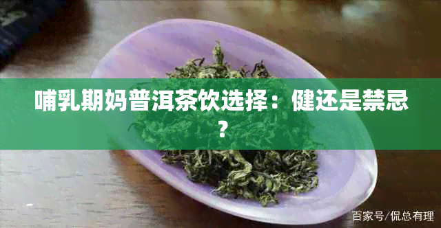 哺乳期妈普洱茶饮选择：健还是禁忌？