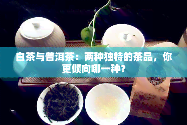 白茶与普洱茶：两种独特的茶品，你更倾向哪一种？