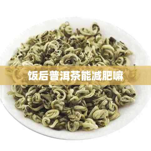 饭后普洱茶能减肥嘛