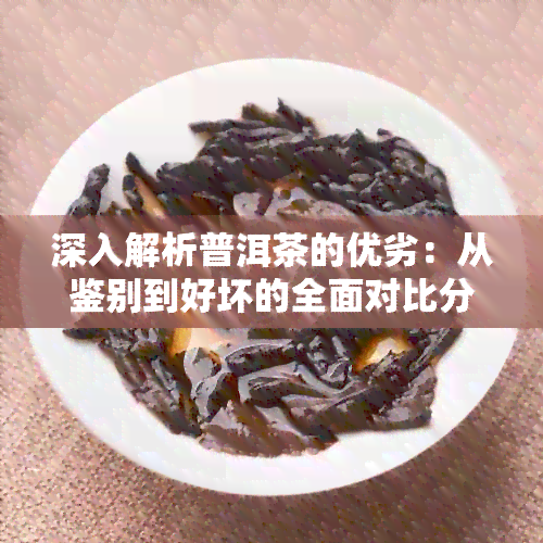 深入解析普洱茶的优劣：从鉴别到好坏的全面对比分析