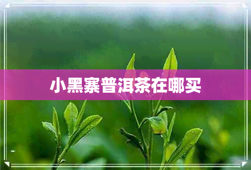 小黑寨普洱茶在哪买