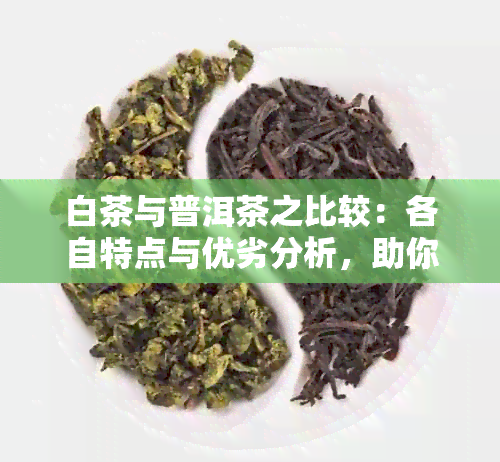 白茶与普洱茶之比较：各自特点与优劣分析，助你轻松选购适合的茶叶