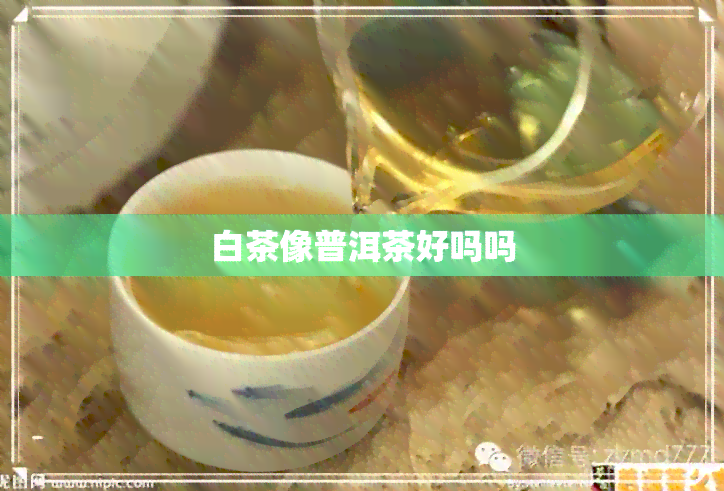 白茶像普洱茶好吗吗