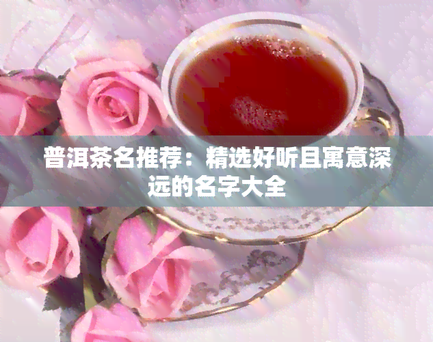 普洱茶名推荐：精选好听且寓意深远的名字大全