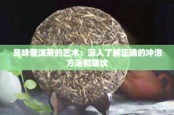 品味普洱茶的艺术：深入了解正确的冲泡方法和建议