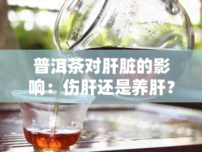 普洱茶对肝脏的影响：伤肝还是养肝？深入探讨普洱茶对肝脏的益处与风险