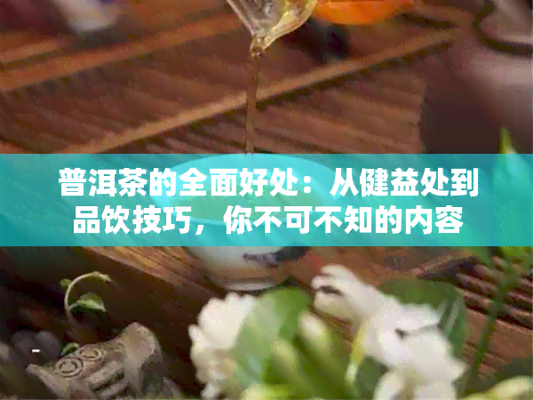 普洱茶的全面好处：从健益处到品饮技巧，你不可不知的内容